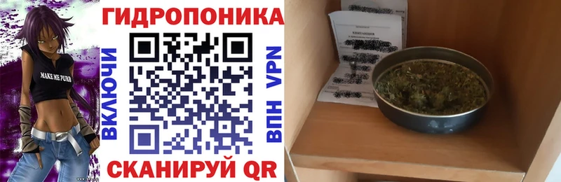 купить наркотики цена  MEGA как войти  Шишки марихуана гибрид  Тарко-Сале 